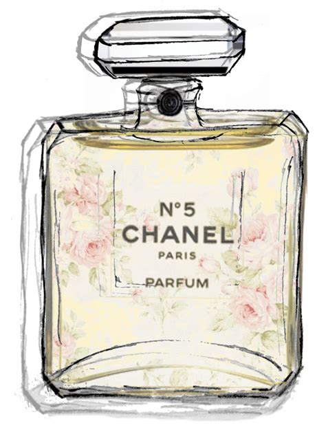 coco chanel perfume drawing